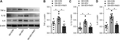 Restoration of Proresolution Pathway with Exogenous Resolvin D1 Prevents Sevoflurane-Induced Cognitive Decline by Attenuating Neuroinflammation in the Hippocampus in Rats with Type 2 Diabetes Mellitus